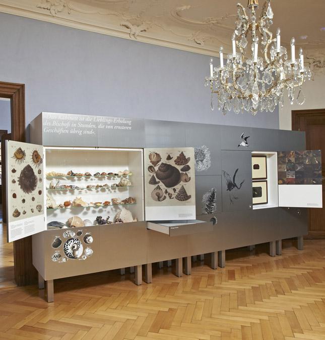 Shell and snail collection, natural history cabinet, Meersburg New Palace