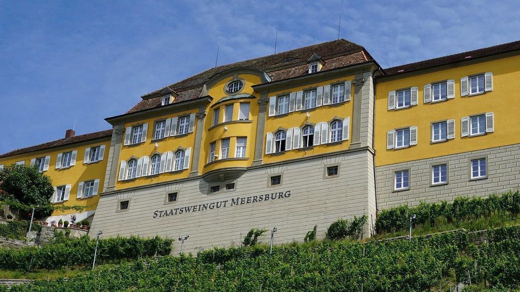 Neues Schloss Meersburg, Staatsweingut