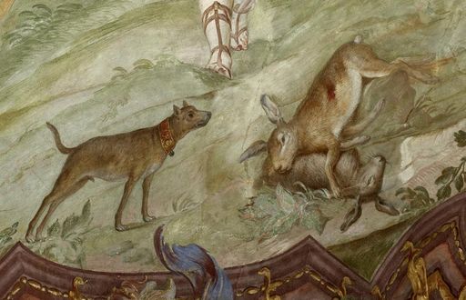 Hunting hound and slain deer, detail from the ceiling painting in the ceremonial hall of Meersburg New Palace, by Giuseppe Appiani, 1762