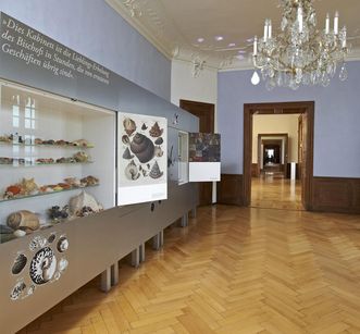 The prince-bishop's natural history cabinet, Meersburg New Palace