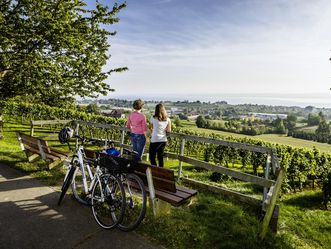 Zwei Radfahrer in den Meersburger Weinbergen